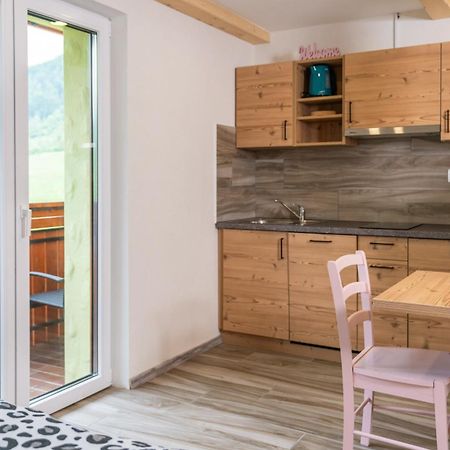 Apartmaji Hodak ボーヒニ エクステリア 写真