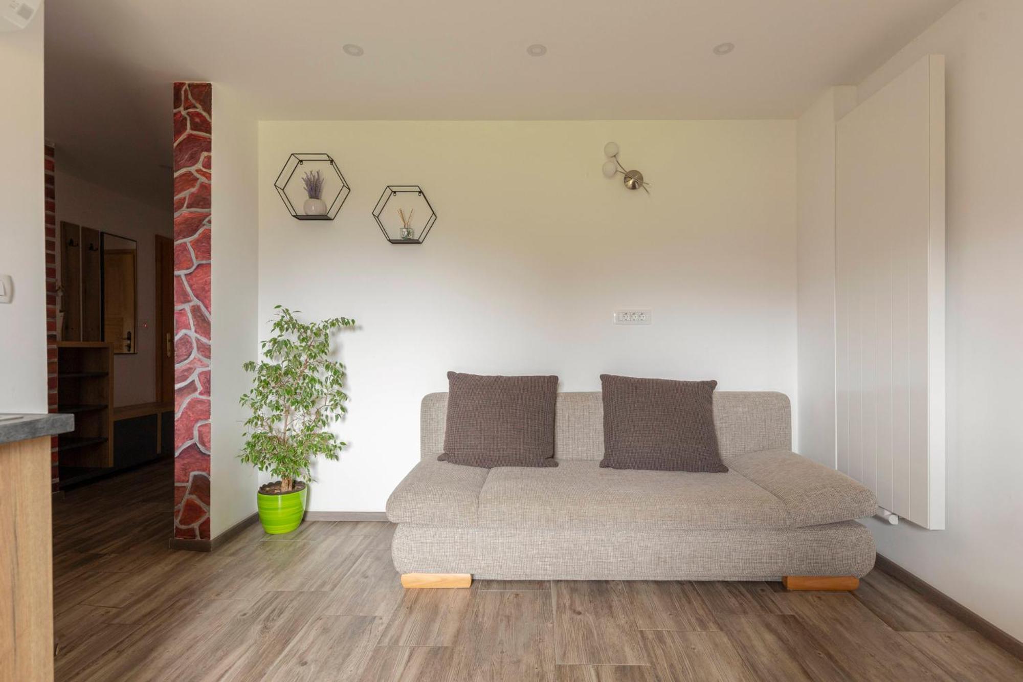 Apartmaji Hodak ボーヒニ エクステリア 写真